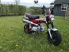 Skyteam "Honda" Dax  [Tidl. motorcykel]