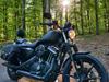 Harley Davidson XL883N