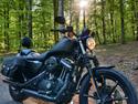 Harley Davidson XL883N