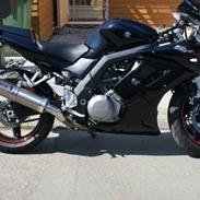 Suzuki SV1000S