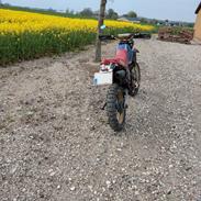 Yamaha XT 600
