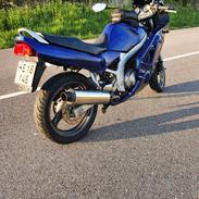 Suzuki Gs 500 E