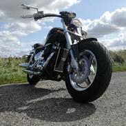 Suzuki VIKING V-Twin 45° VZ Custom Marauder 800 VZ800