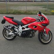 Suzuki TL 1000 S