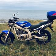 Suzuki GS 500 E