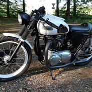 Triumph Speed twin 