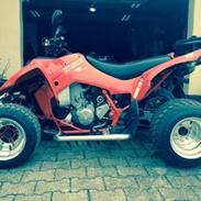 Hyosung Te 450