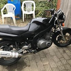 Suzuki Gs500e