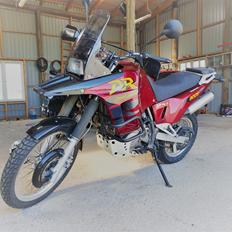 Suzuki DR 800S BIG