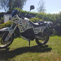 Aprilia pegaso 650