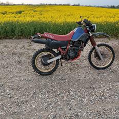 Yamaha XT 600