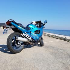 Suzuki GSX 600 F
