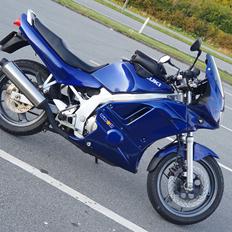 Suzuki Gs 500 E