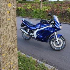 Suzuki Gs 500 E