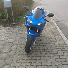 Yamaha YZF R1 (Rip) 