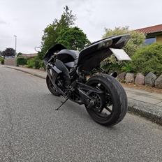 Kawasaki Ninja Zx-10r 