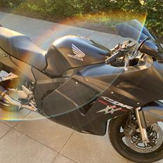 Honda CBR 1100 xx Blackbird (SOLGT)