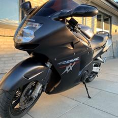 Honda CBR 1100 xx Blackbird (SOLGT)