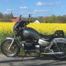 Moto Guzzi California 1100  Aluminium Special Sport SOLGT