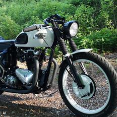 Triumph Speed twin 