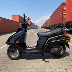 Honda CH250 Elite SOLGT 25. JAN. 2025