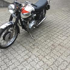 Triumph T120 Bonneville
