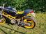 Ducati Monster Dark