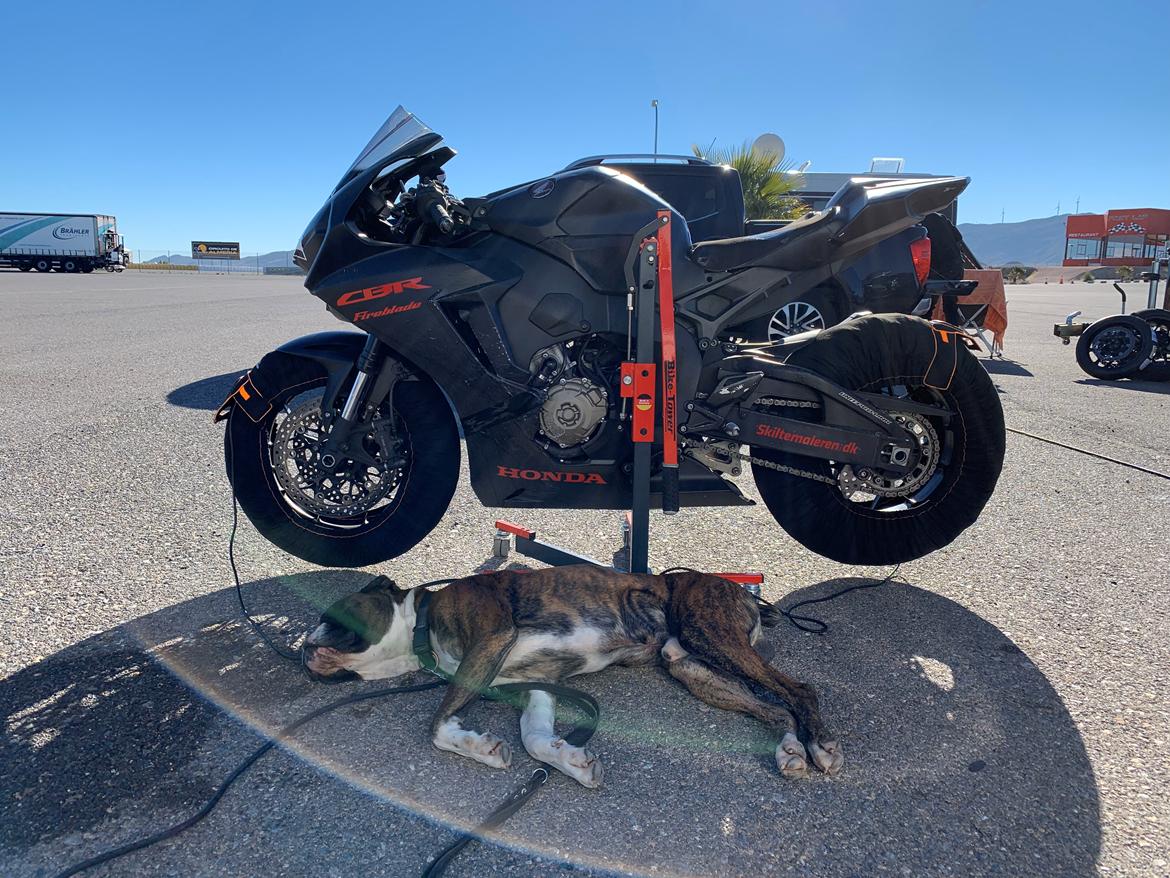 Honda CBR 1000 RR (Baneracer) SOLGT billede 6