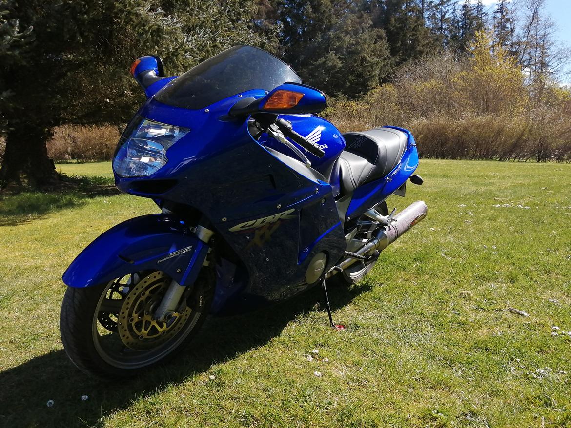 Honda CBR 1100 super XX black bird billede 22