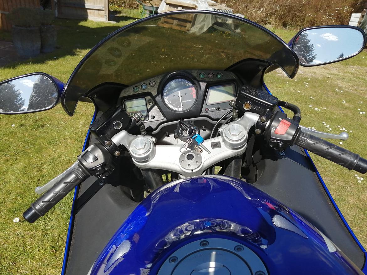 Honda CBR 1100 super XX black bird billede 23