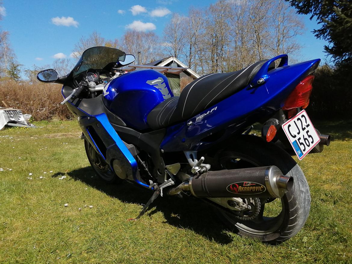 Honda CBR 1100 super XX black bird billede 24