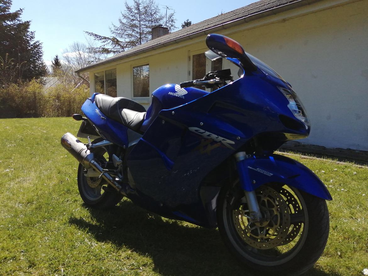 Honda CBR 1100 super XX black bird billede 25