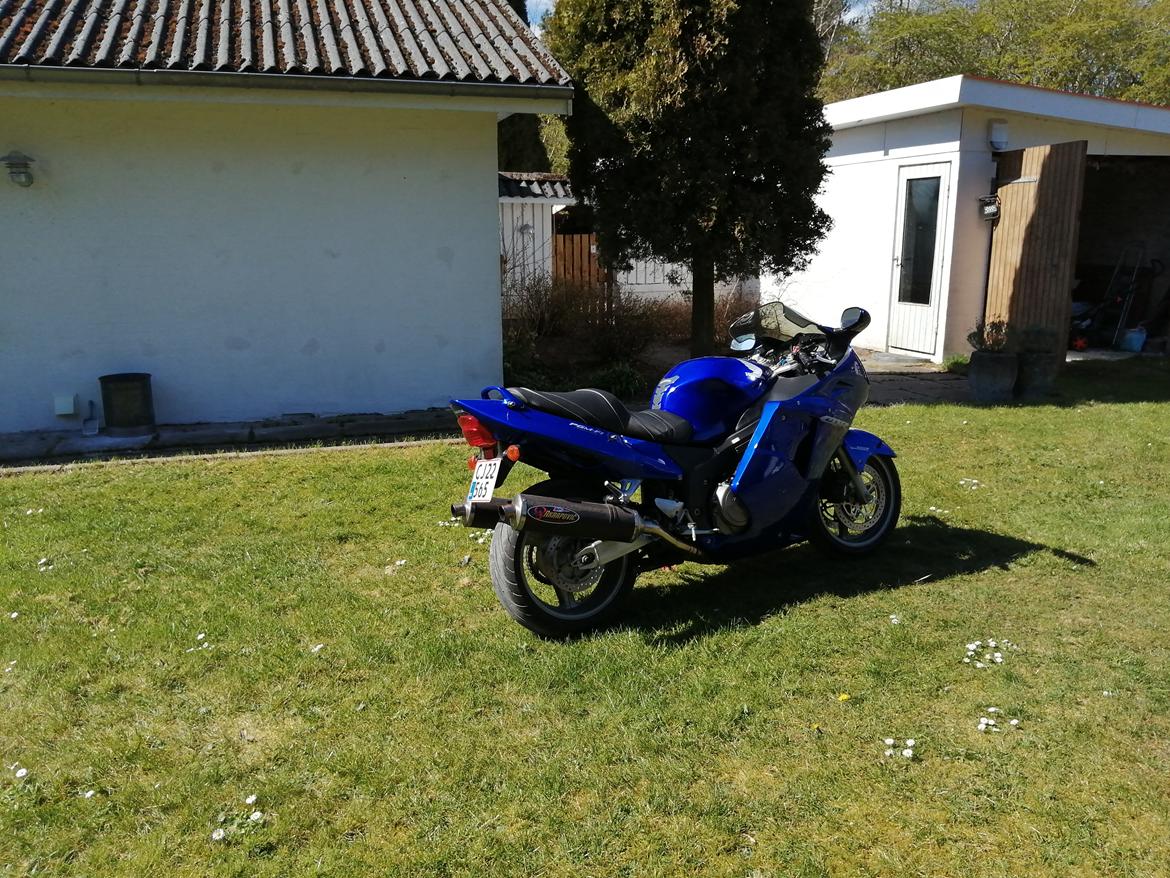 Honda CBR 1100 super XX black bird billede 26