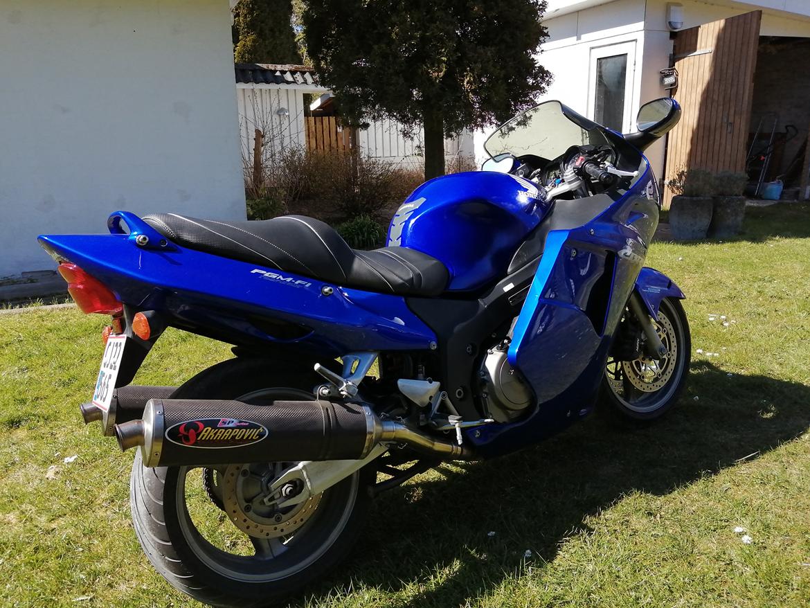 Honda CBR 1100 super XX black bird billede 27