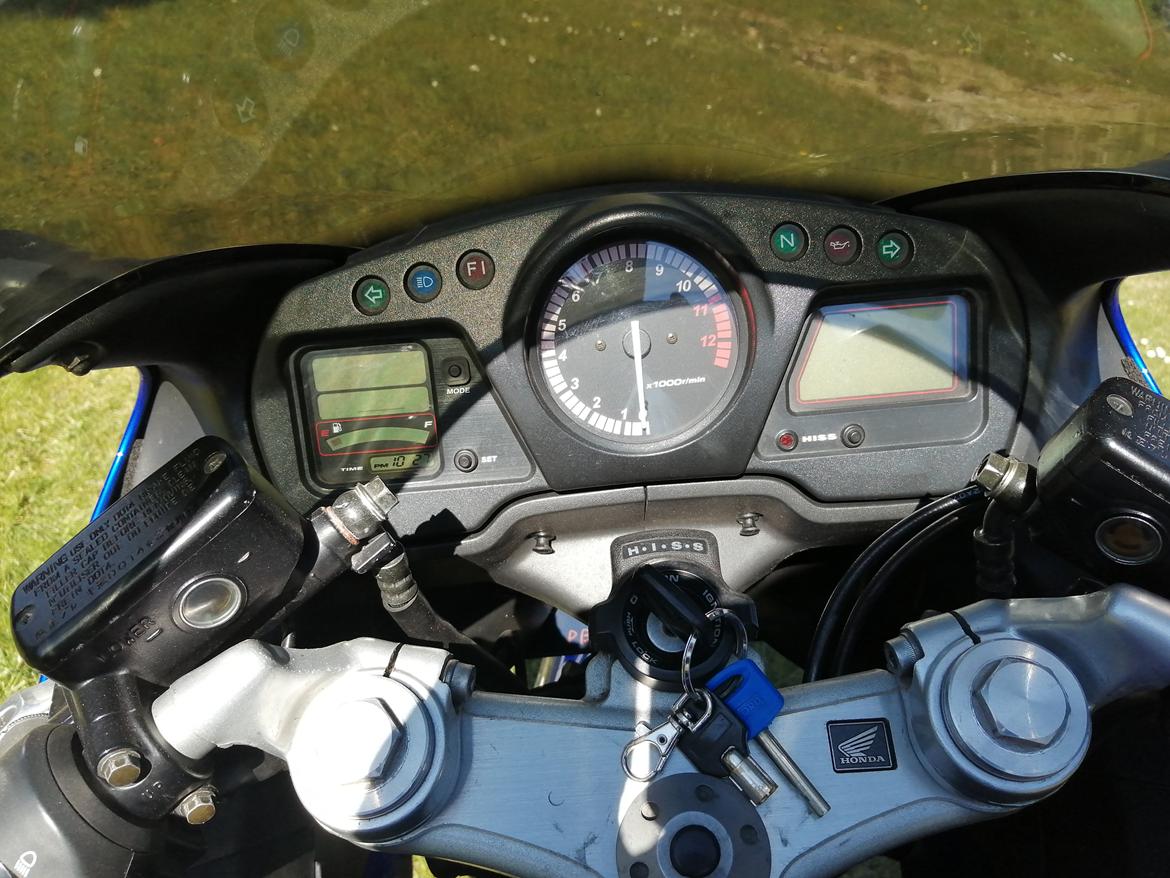 Honda CBR 1100 super XX black bird billede 28