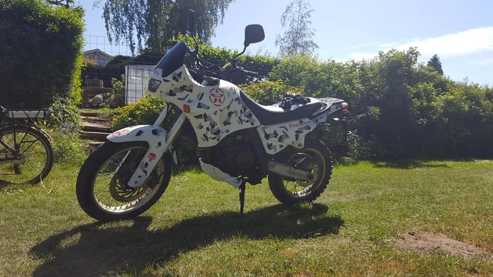 Aprilia pegaso 650 billede 1