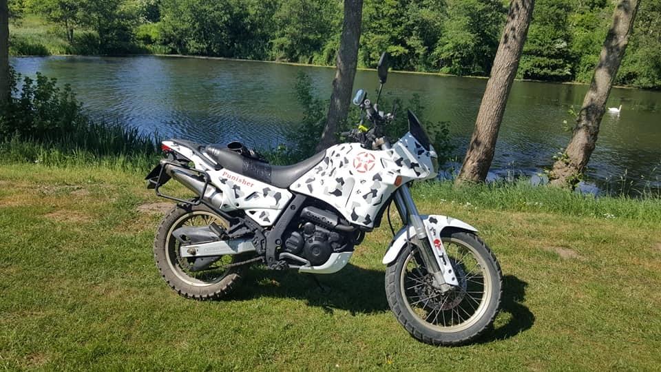 Aprilia pegaso 650 billede 4