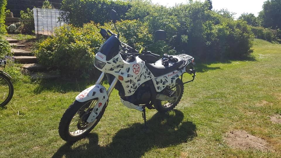 Aprilia pegaso 650 billede 6