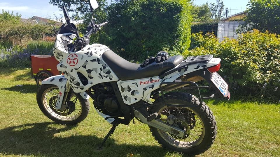 Aprilia pegaso 650 billede 7