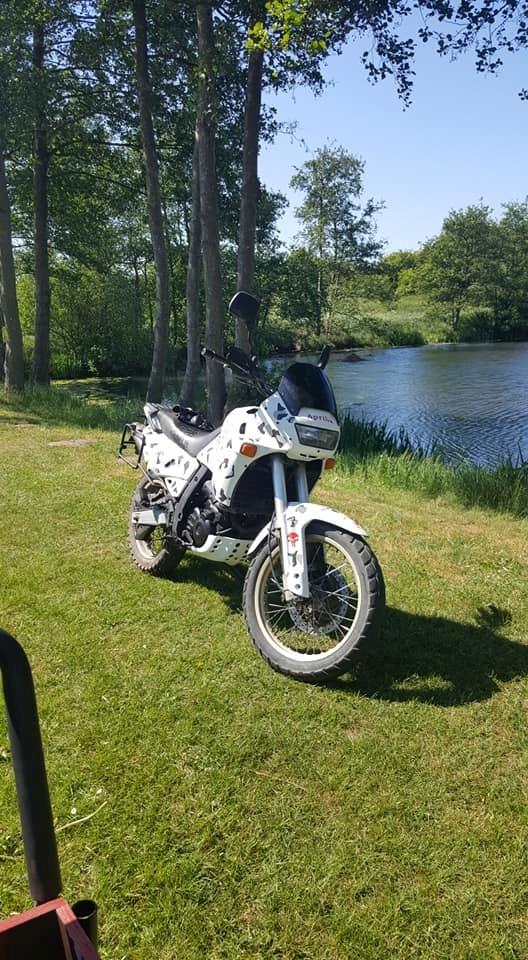 Aprilia pegaso 650 billede 8