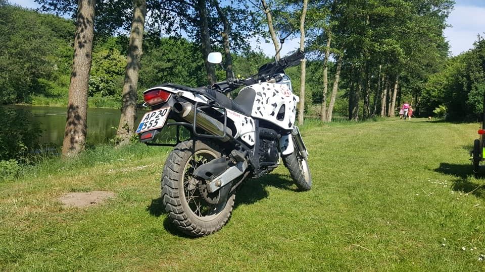 Aprilia pegaso 650 billede 2