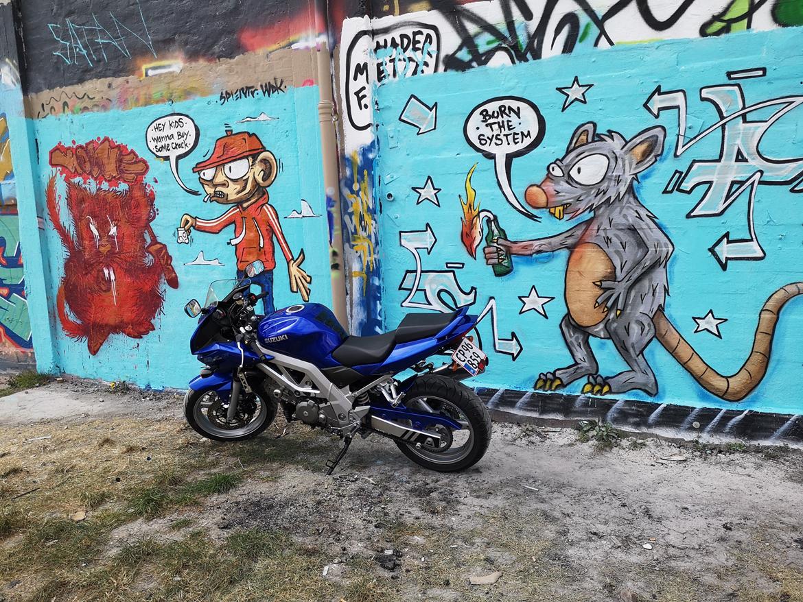 Suzuki  SV 650s billede 7