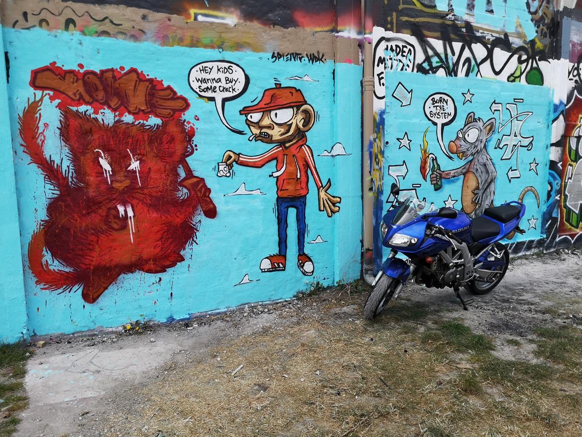 Suzuki  SV 650s billede 11