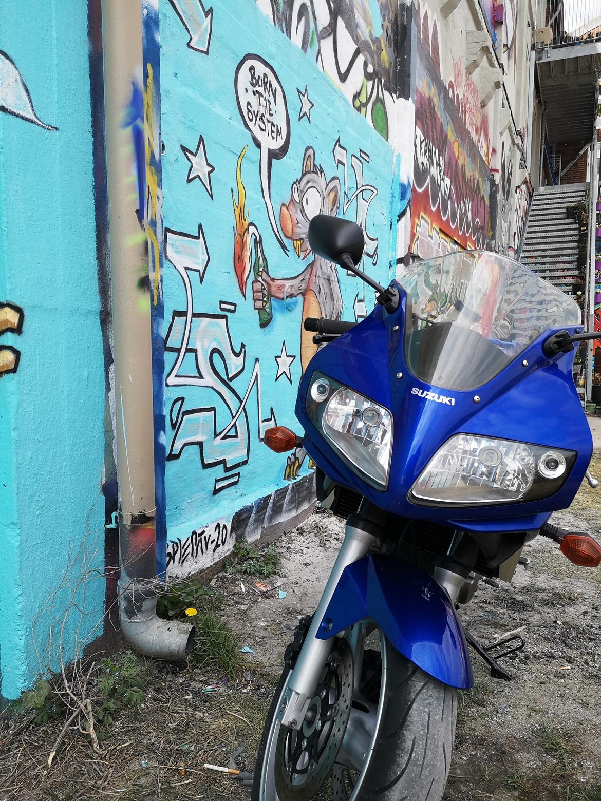 Suzuki  SV 650s billede 10