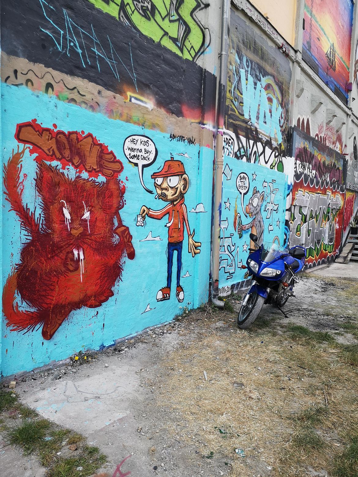 Suzuki  SV 650s billede 12