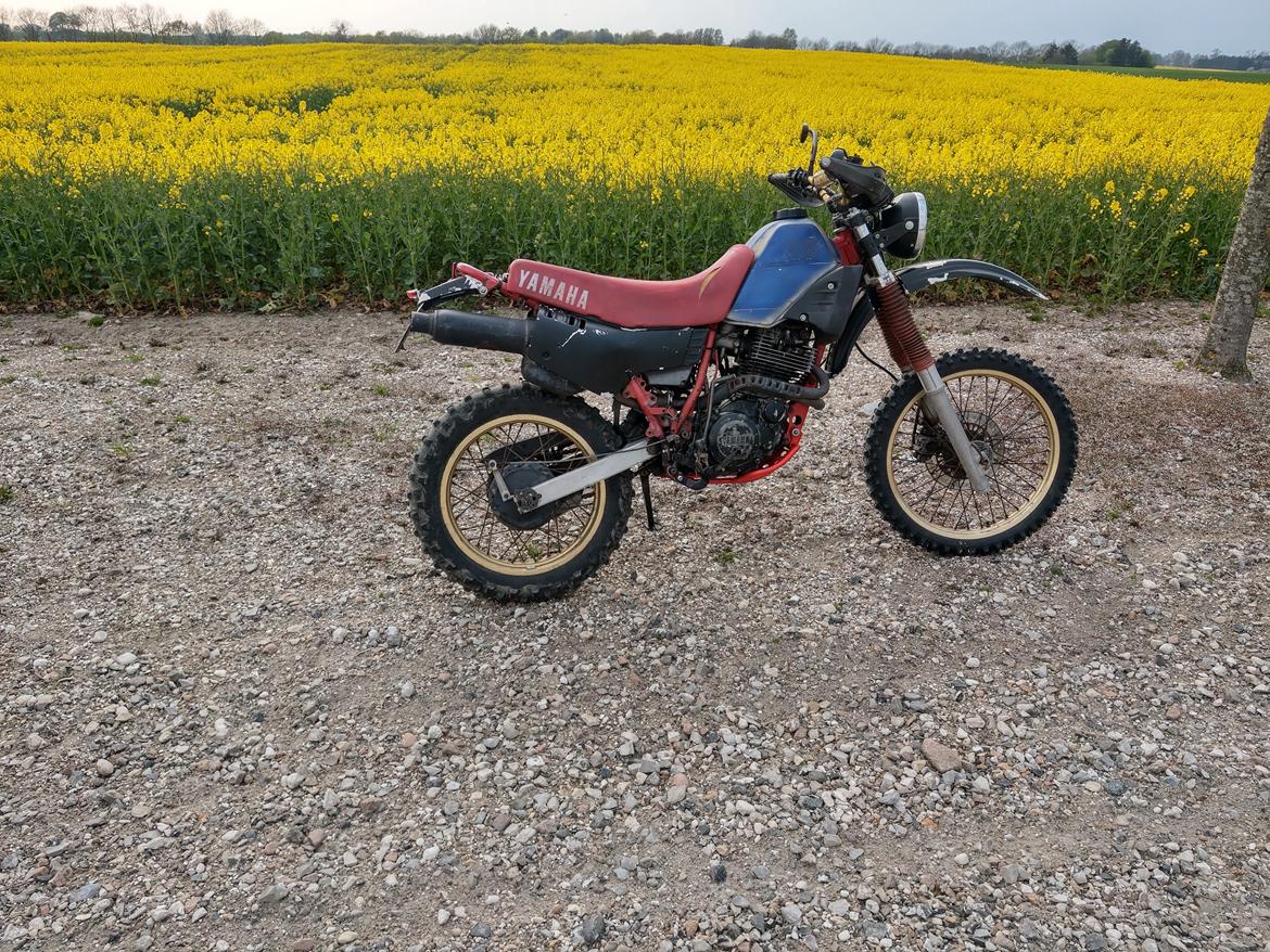 Yamaha XT 600 billede 2