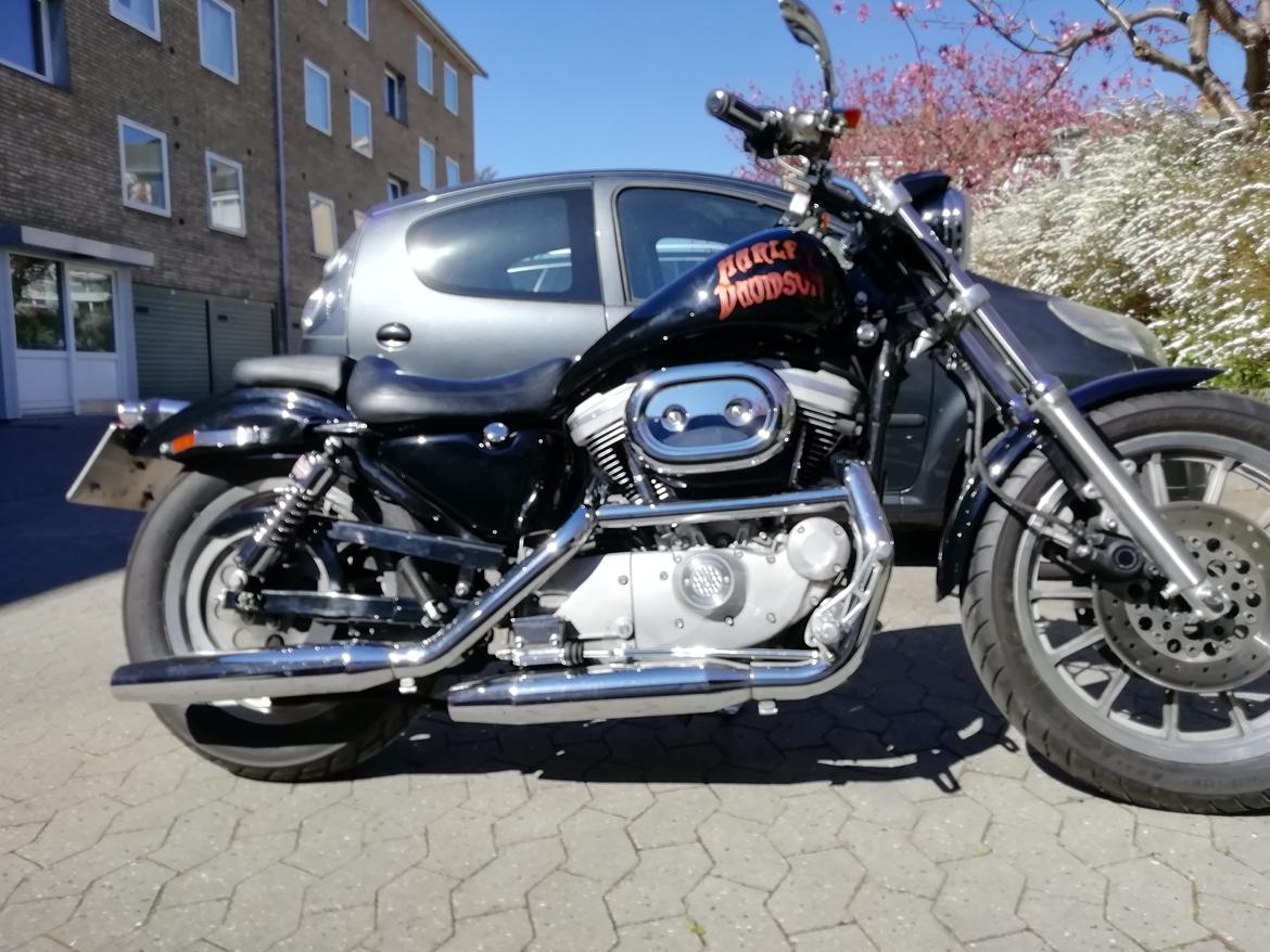 Harley Davidson 883 Sportster xl billede 4