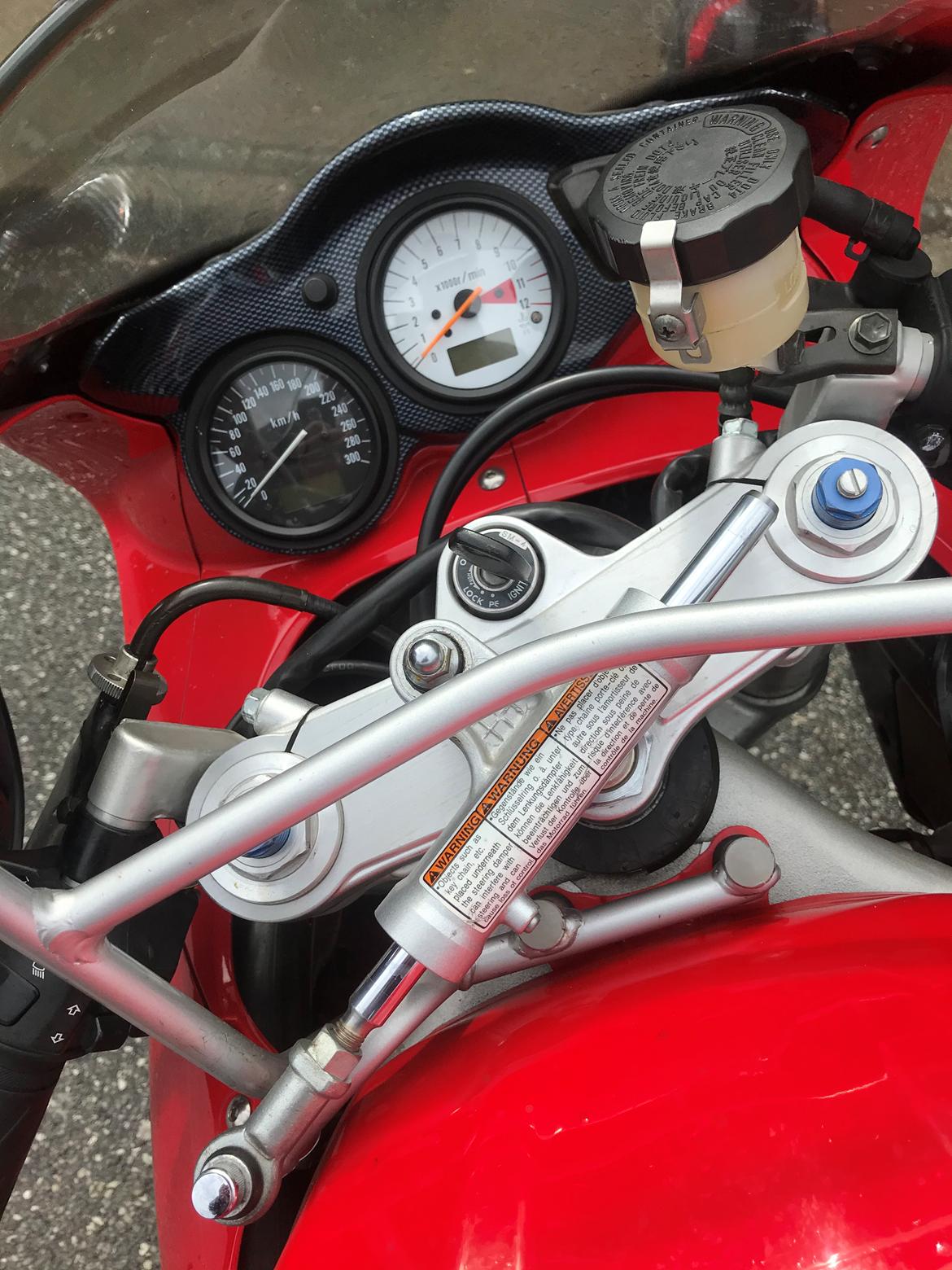 Suzuki TL1000 S billede 10