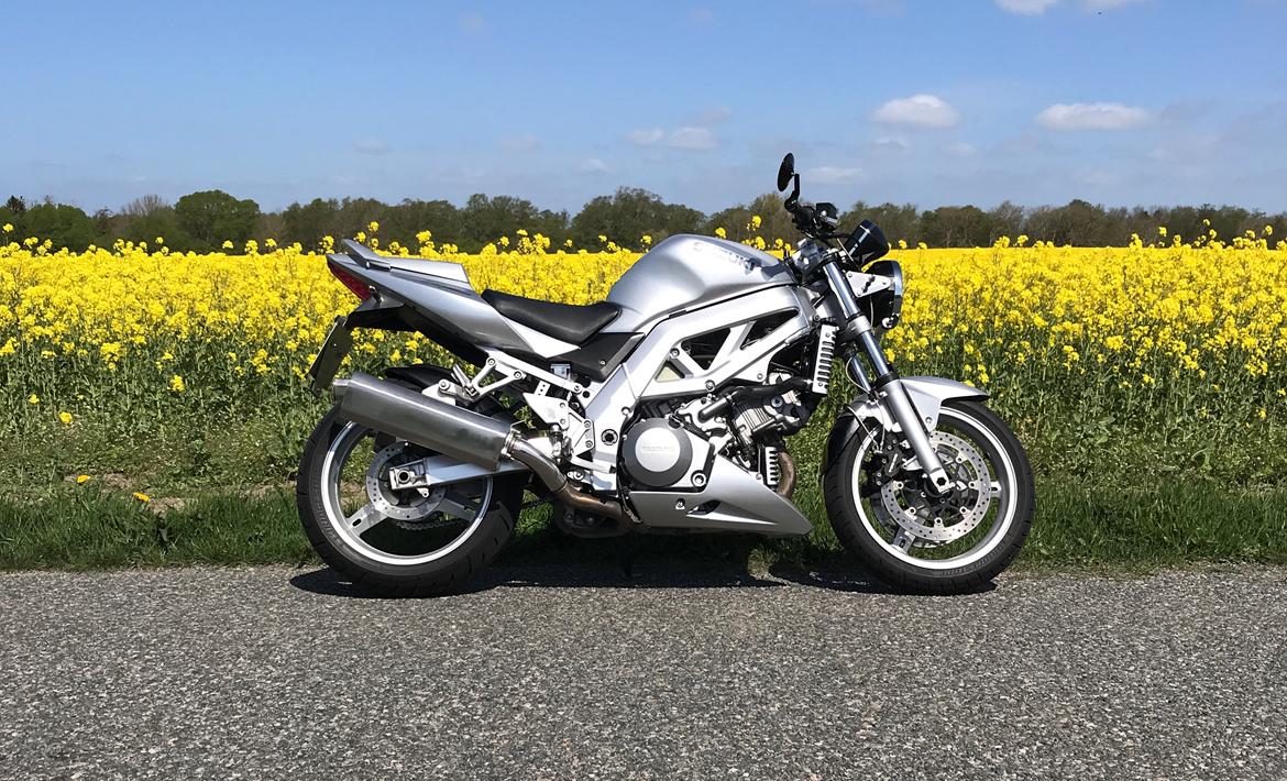 Suzuki SV1000N SOLGT billede 5