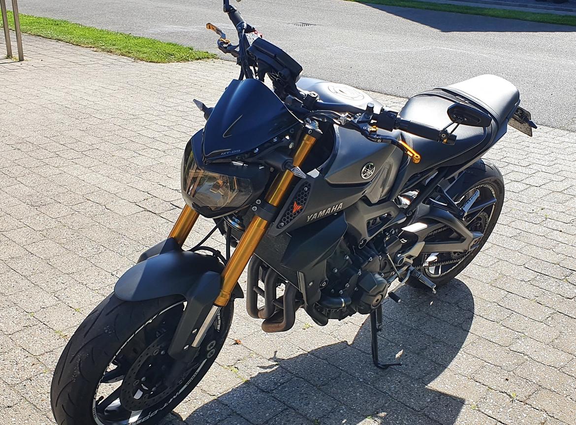 Yamaha MT-09 "SOLGT" billede 5